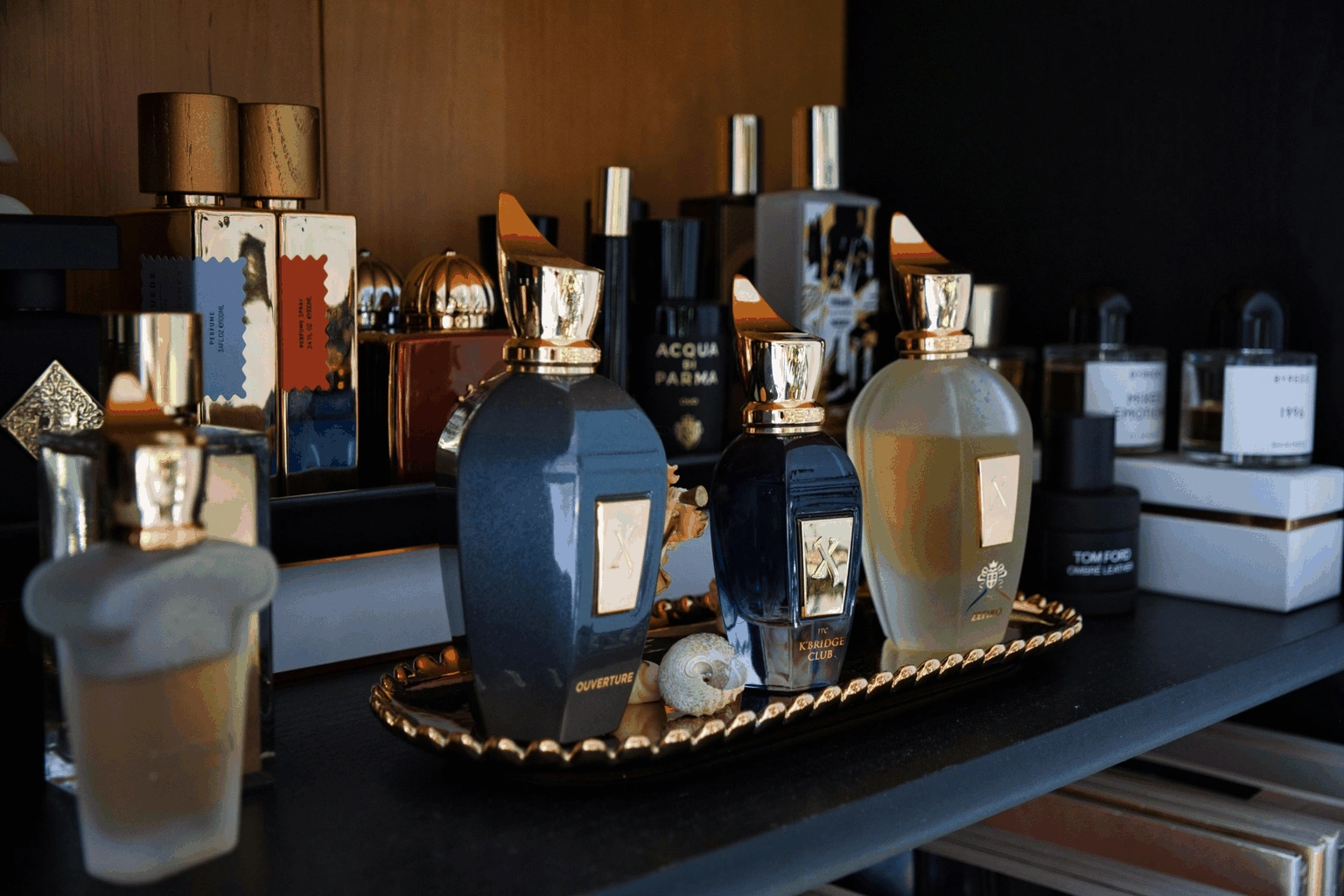 Dakota Johnson, Florence Pugh, Megan Thee Stallion Front New Fragrances from Valentino, Max Mara, Coty